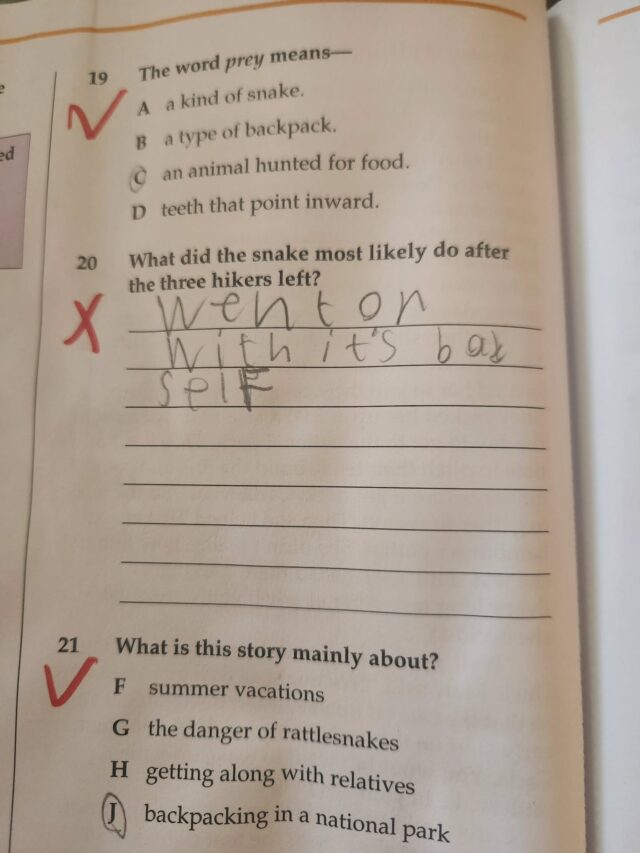 Happy Friday!

My daughter and I are doing test prep for her yearly  standardized test for homeschooling next week, and this was an answer that she gave in reading comprehension. 

Let's pause and appreciate the creativity and thought here. Rather than give a generic answer based on the text that she read, she chose to express some sass and probably her feeling of being over the test prep. Perhaps it was in reference to Genesis 3. I can neither confirm nor deny that. 

 However, I did mark it wrong. Though the answer was creative and made me chuckle, I had to consider the answer sheet's answer, if this could have been a potential multiple choice answer (part of me wishes that it could be, but unlikely), and the capital F at the end of a word along with the apostrophe used incorrectly almost made me lose my mind. 😬🤣 By the way, please teach your children the difference between its and it's, your and you're, and their, there, and they're. 

So, if you're wondering if homeschooling is worth it or doable, it is for numerous reasons. This is one of them.

Now, go on with your bad self.